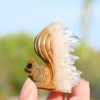 Crystal Cluster Squirrel