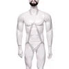 White NZN0019