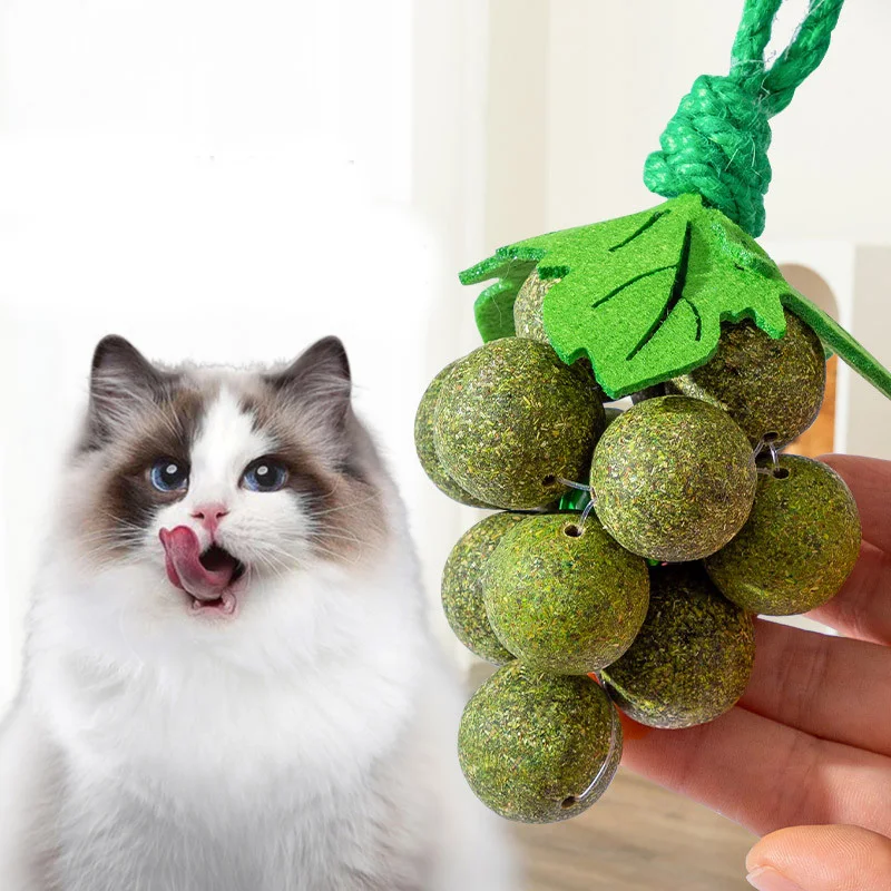 Nip Mint For Cats Interactive Avocado Wall Ball Cat Toys Matatabi Catnip Toy Buy Avocado