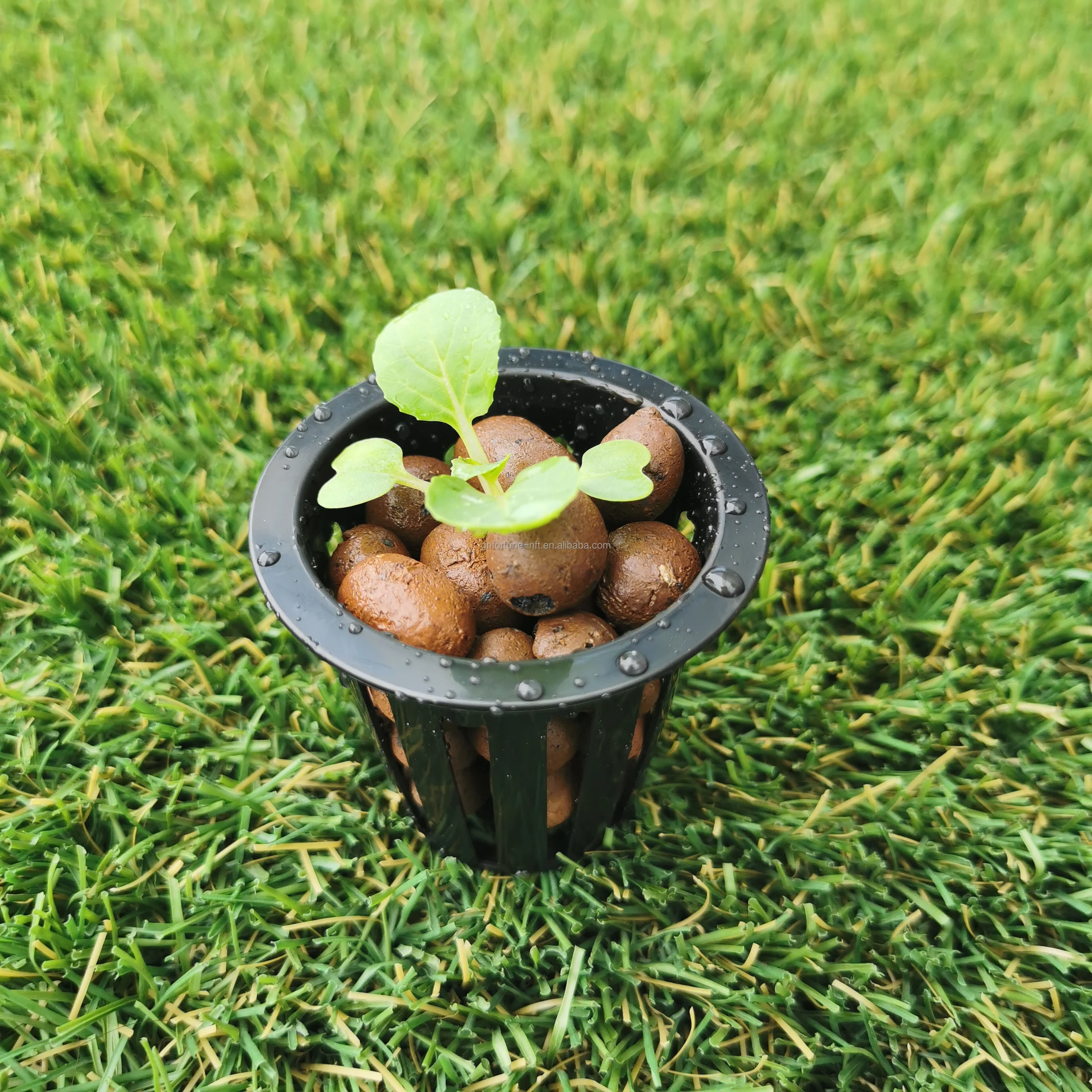 hydroponic net cup