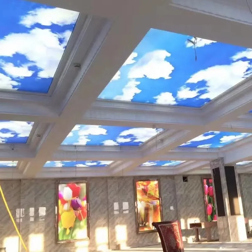 ZHIHAI Indoor Ceiling Decoration Pvc Ceiling Panel with LED Light