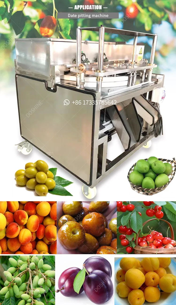 Olive Pitting and Stuffing Machine