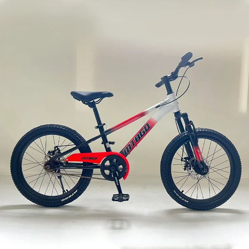 20-Inch Aluminum Alloy Frame Disc Brake Bike Single Speed Sports