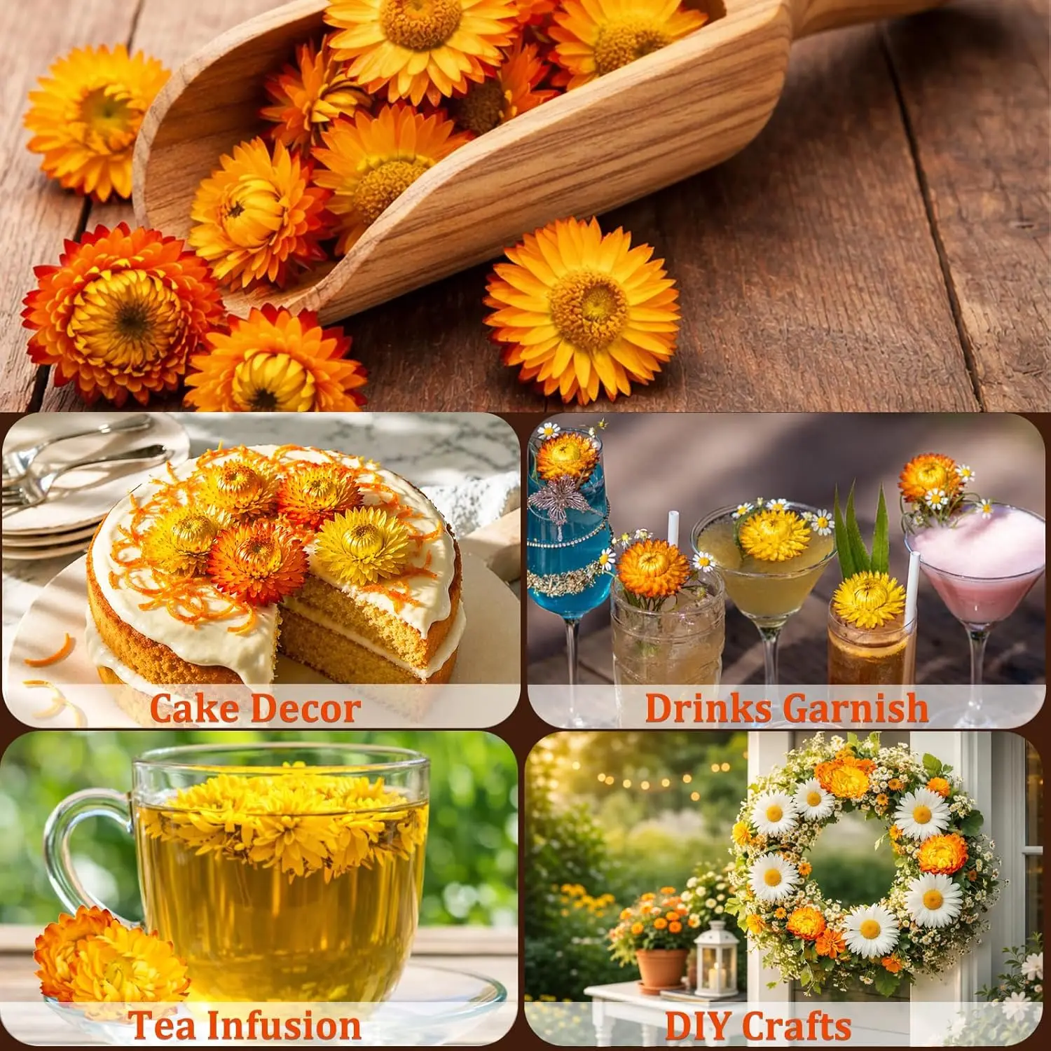 Bulk Dried Daisy | Wholesale Supplier H41483ca672d64fd59025cf7a2dc03741n