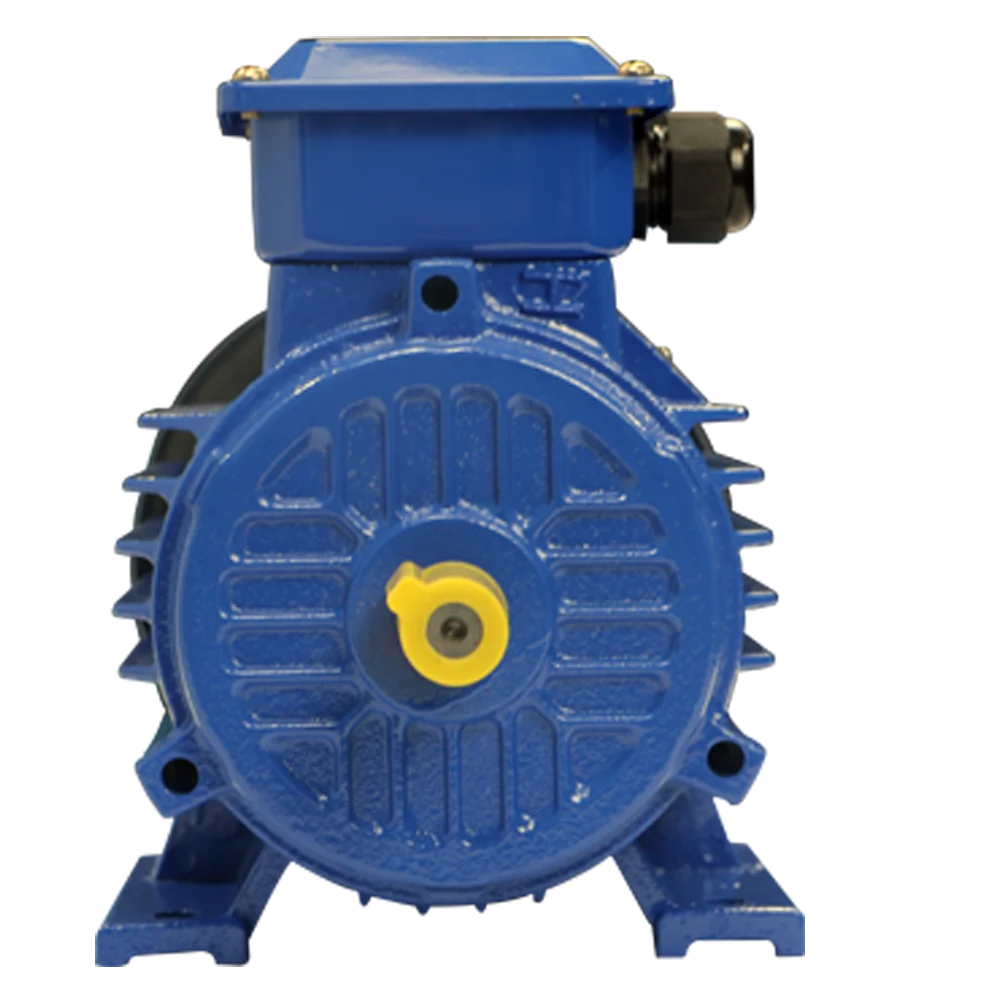 High Quality 2HP Three-Phase AC Motor Cast Iron Housing Electric Pump Centrifugal Scrap Motor