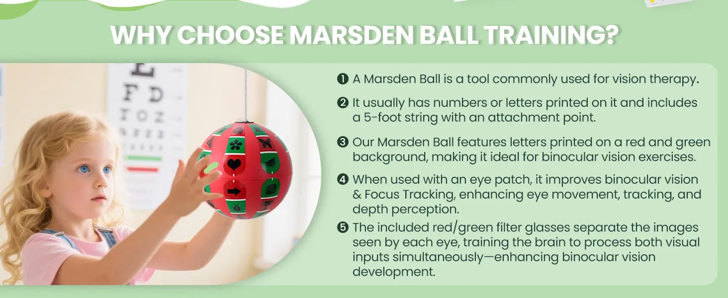 Marsden Ball Manual Training Ball Disinhibition Training Hand-eye-brain Coordination Perception Behavior Visual Training Ball