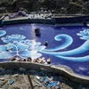 murale della piscina (8)