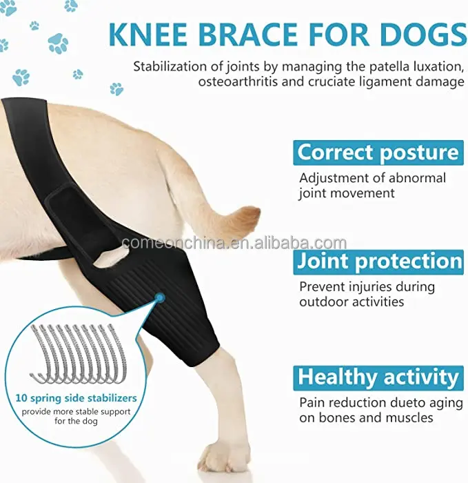 Dog Knee Brace for ACL with 10 Side Stabilizers Support Dog Leg Brace for Back Legs Cap Recovery Sleeve Pet Dog Knee Brace