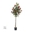 Rouge 160cm