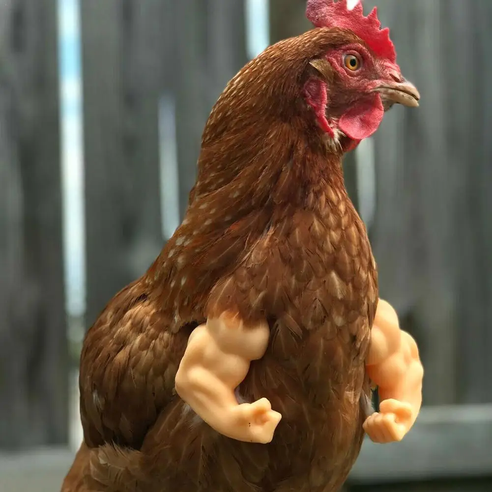 Chicken T-Rex Arms Strong Muscle Chicken Arms for Chicken to wear Muscle  Arms of Chicken Chicken For…See more Chicken T-Rex Arms Strong Muscle  Chicken