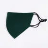 Green 100%6A Grade mulberry silk face cover
