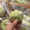 Sac pour porcelet raisin vert