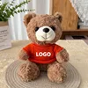 Maglione orsetto di peluche marrone-arancione