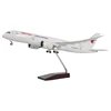 Air Chine 787