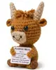 Highland cow 13