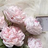 Rosa claro