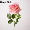 Rosa intenso