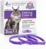 3 pièces chat violet