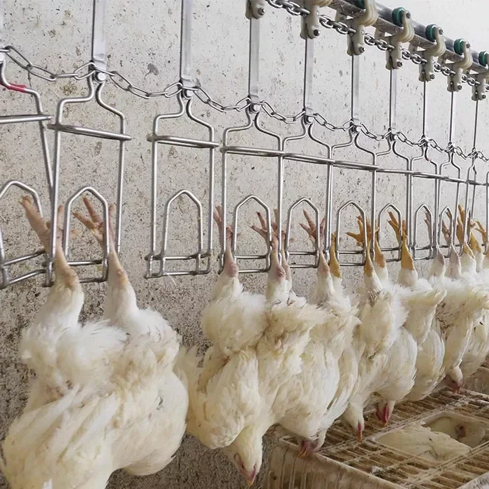 Large poultry processing equipment chicken slaughtering machine