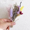 Forget-Me-Not และ Love-In-A-Blush