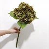 verde 1