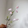 Campanula rosa chiaro