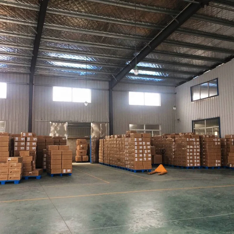 2024 New Product Factory Price Custom Color Chicken Inflatable Cartoon Plush Costume Mascot for Adults
