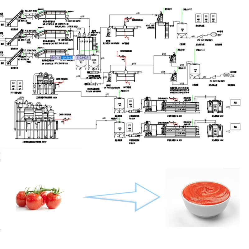 Offer Tomato Paste Making Machine Processing Chain Plate Elevator Turn Key Production Line