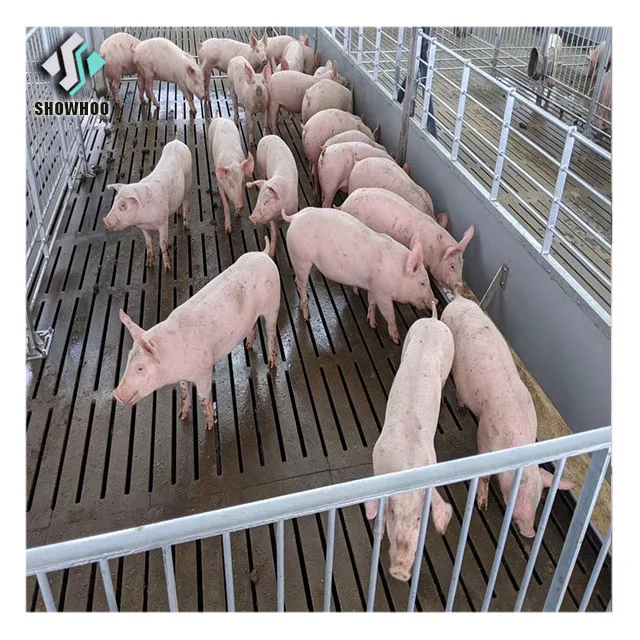 Low Cost Prefabricated Steel Frame Housing Pig House Building for Sale