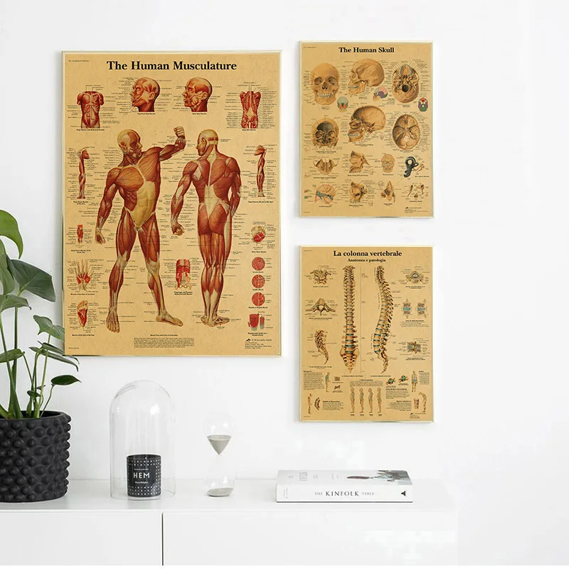 Spinal Column Chart Skeleton Posters Human Anatomy Knee Joint Foot Canvas Painting Medical Wall Art Prints for Room Home Decor