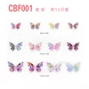 CBF001-Colorful