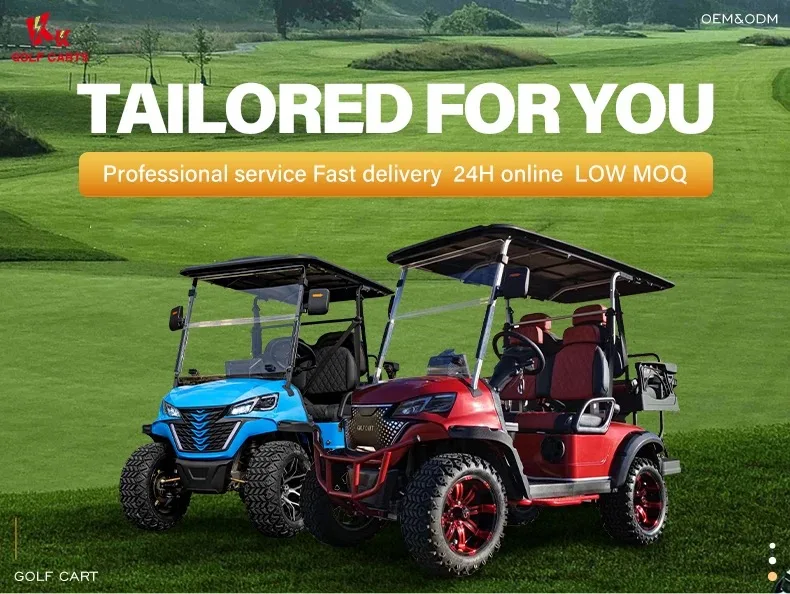 Golf Cart 2 Seat Electric Vehicle Golf Battery Lithium Electric Pick Up