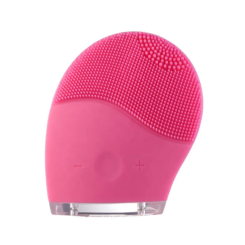 electric cleansing instrument