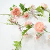 rosa