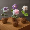 Marguerite blanche finie hauteur 15cm