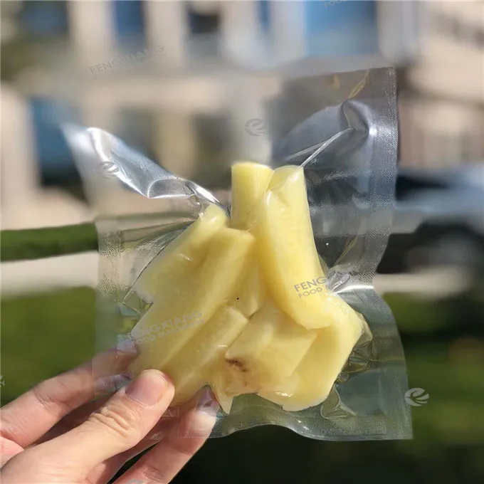 DZ-600 Electric Vacuum Frozen French Fries Packing Machine Food Sausage Packing Machine