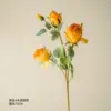 Yellow pastoral rose