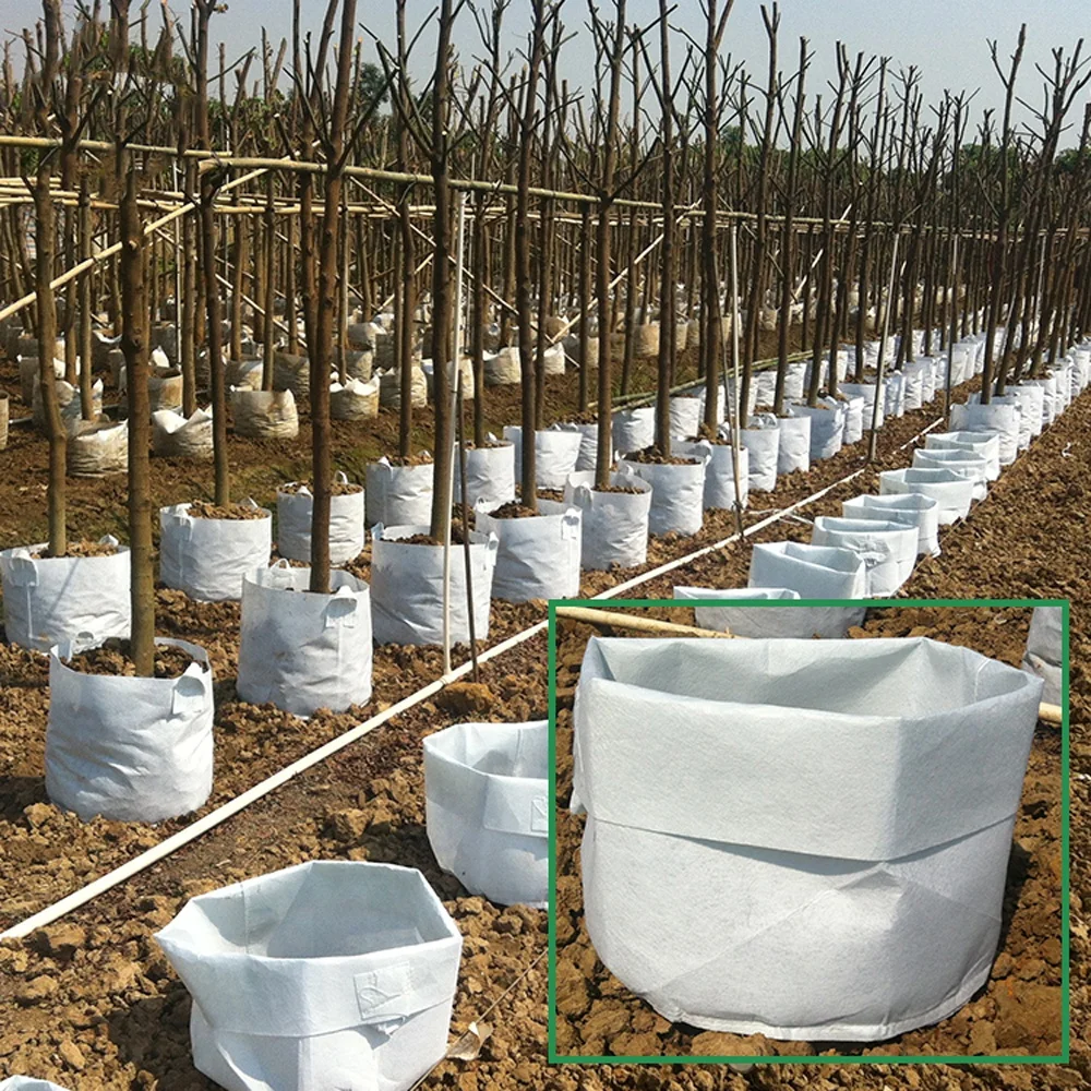 Non Woven Fabric Pot Planting Grow Bags Manufacturer