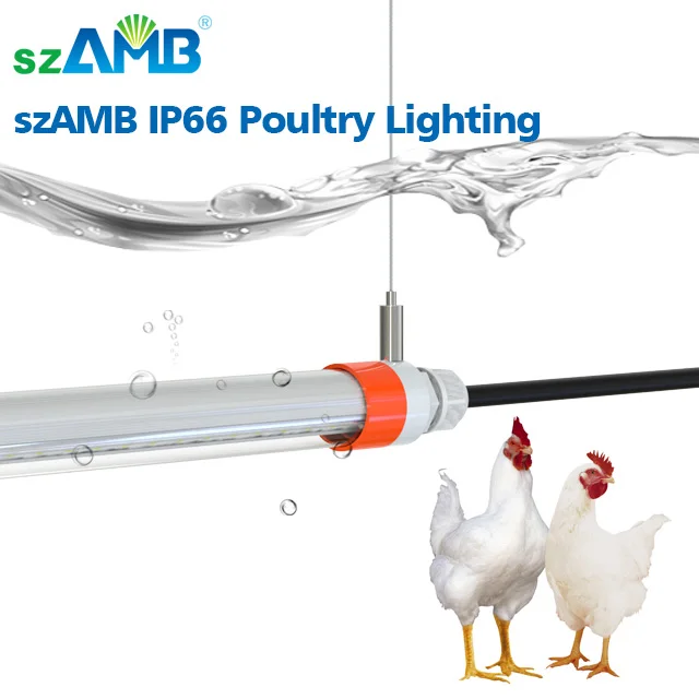 Светодиодная лампочка IP67 9 Вт 20 Вт 24 Вт 28 Вт для слоя клетки