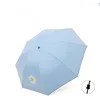 Manual Daisy - Light Blue