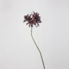1#  Giglio africano senza foglie (viola scuro)