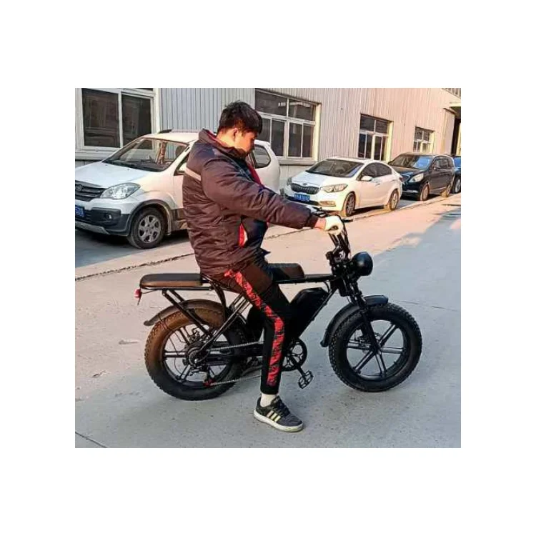 Factory Sales Quality New ZX Model Electric Mountain Bike 48v 500W