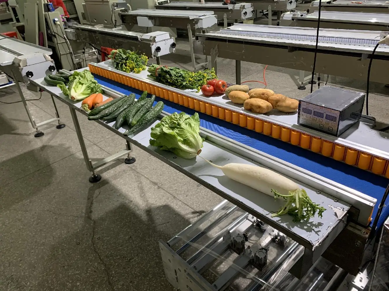 Automatic Oranges/Lemon/Mango Fruit Horizontal Form Fill Seal Food Packaging Machine