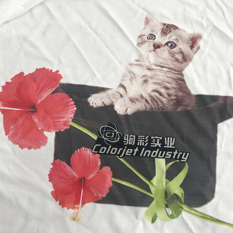 CJ Multifunction Custom t Shirt Printing Machine A3 Size Dtg Flatbed Printer