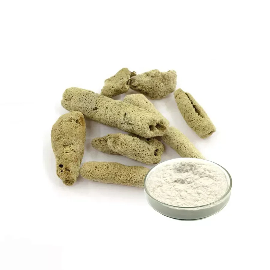 Cosmetic Ingredient Spongilla Lacustris Extract Powder Sponge Spicule Spongilla Lacustris