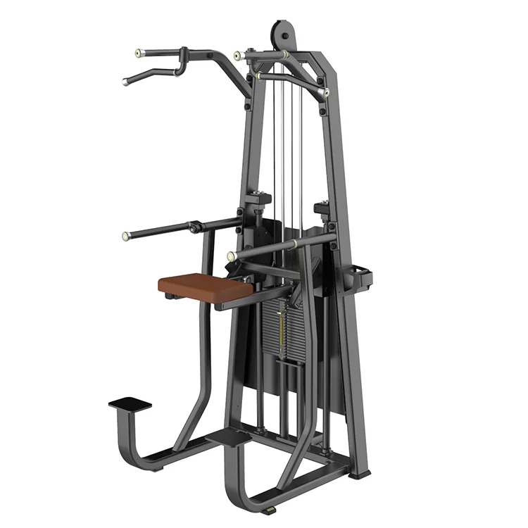 Dhz Gym Fitness Equipment E1009b Dip/chin Assist Buy Gym Equipment