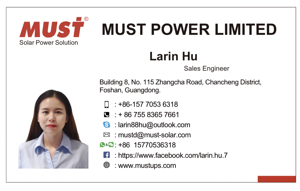 Business card-Larin.jpg