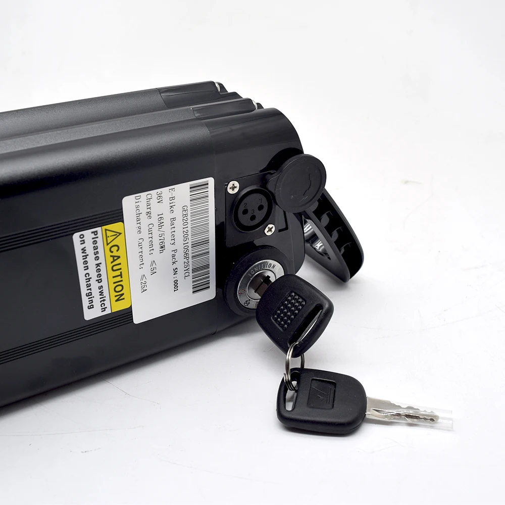モペット ひねちゃ バッテリー 48v 鍵付き モペット ひねちゃ フル電動