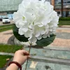 สีขาว