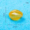 Luminous Yellow Cowrie Shell